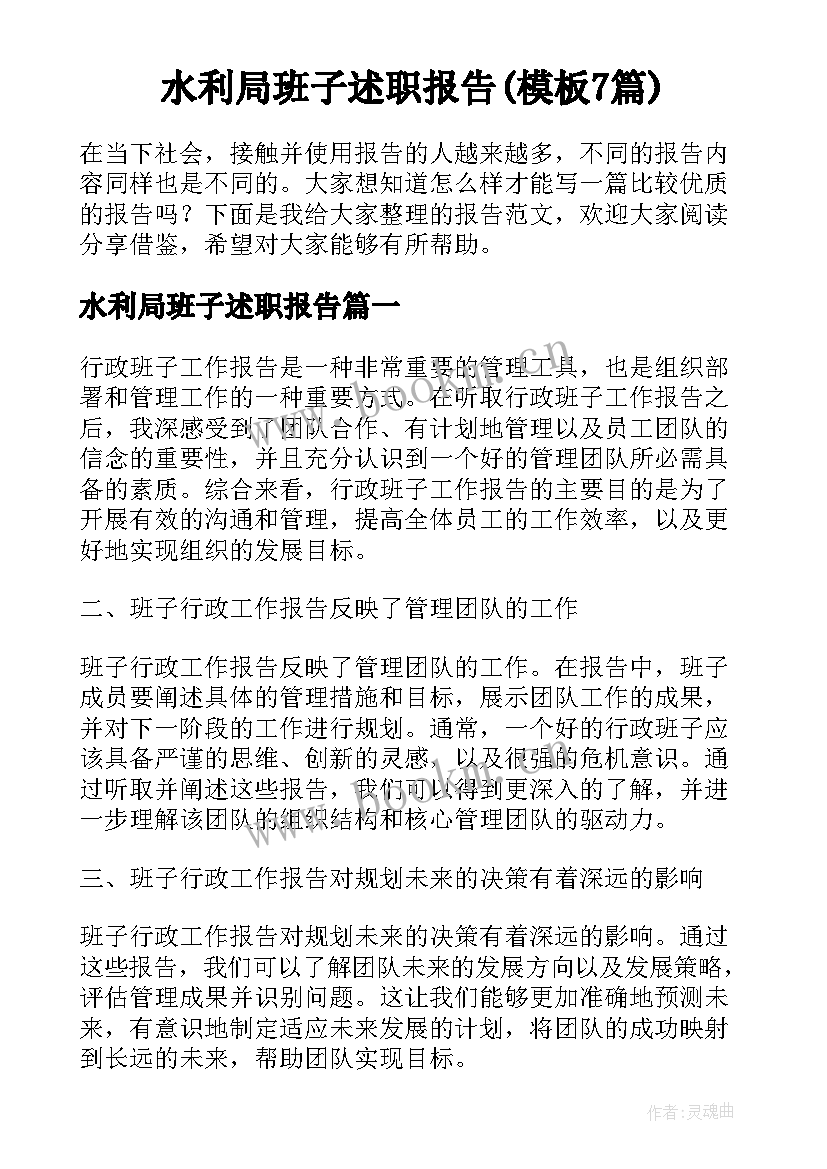 水利局班子述职报告(模板7篇)