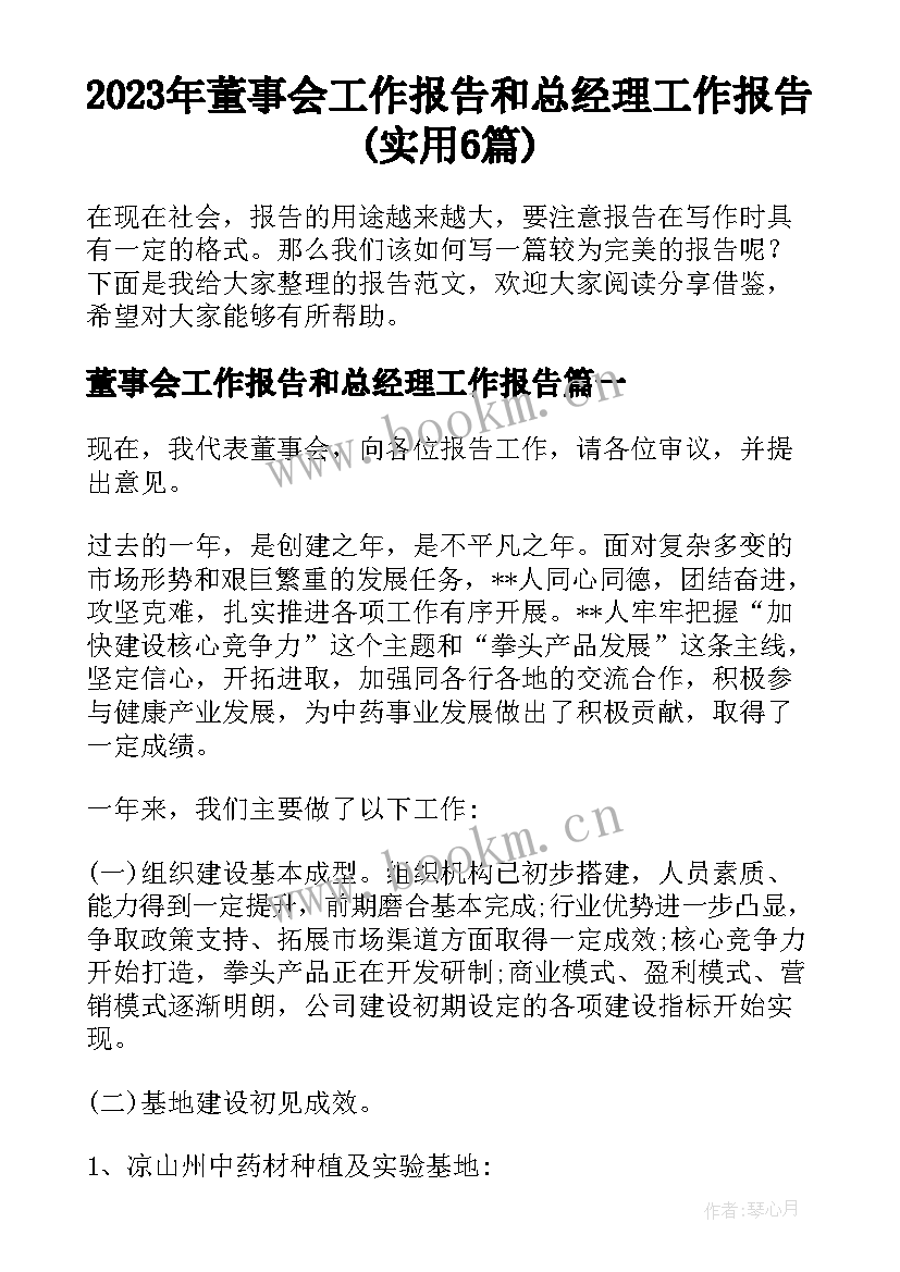 2023年董事会工作报告和总经理工作报告(实用6篇)