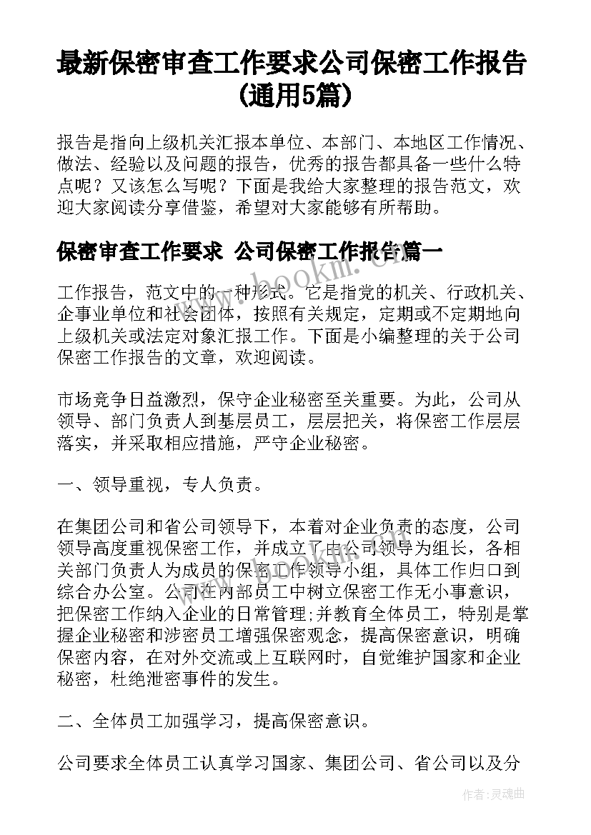 最新保密审查工作要求 公司保密工作报告(通用5篇)