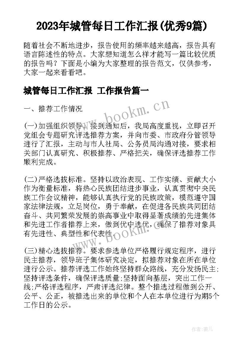 2023年城管每日工作汇报(优秀9篇)