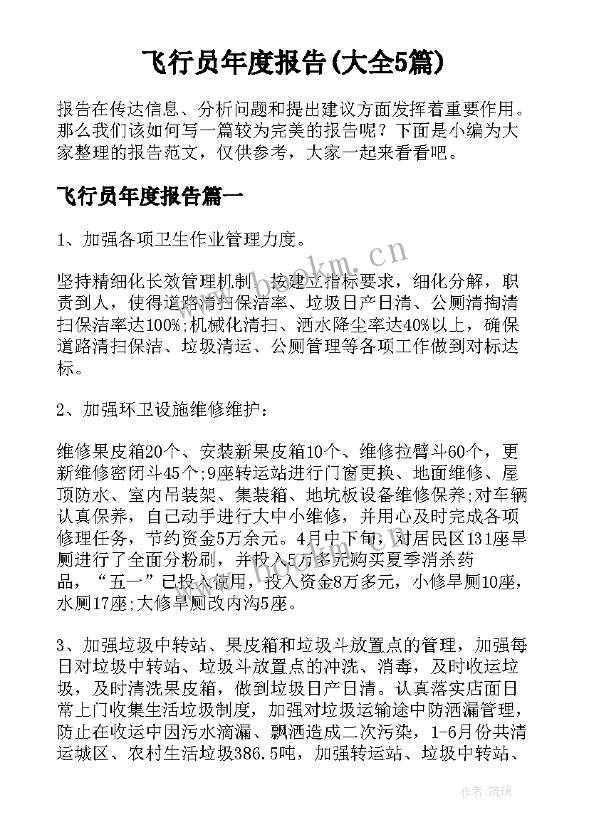 飞行员年度报告(大全5篇)