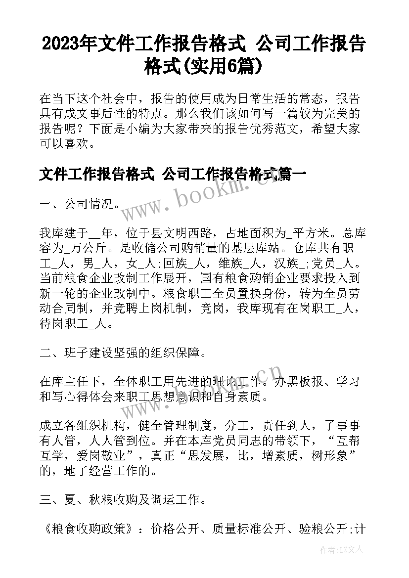 2023年文件工作报告格式 公司工作报告格式(实用6篇)