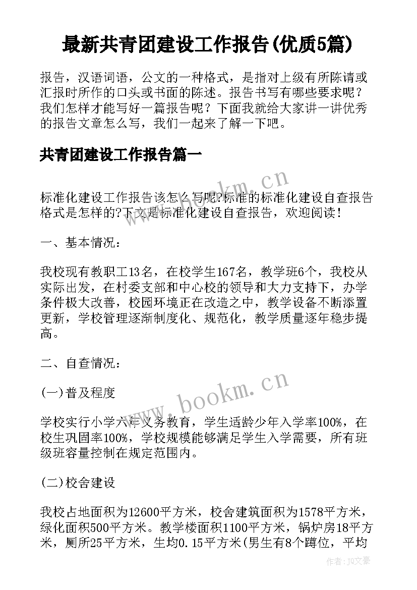 最新共青团建设工作报告(优质5篇)