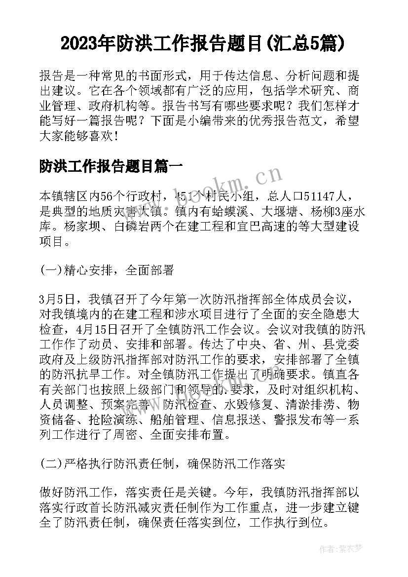 2023年防洪工作报告题目(汇总5篇)