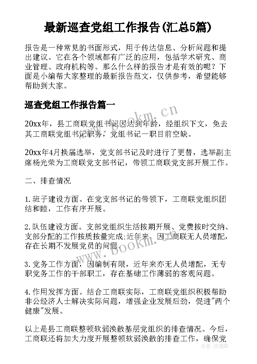 最新巡查党组工作报告(汇总5篇)