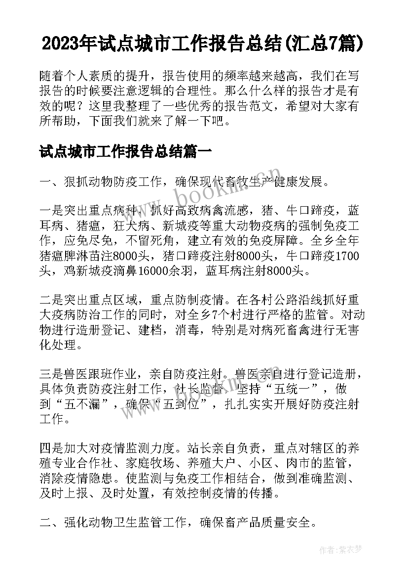 2023年试点城市工作报告总结(汇总7篇)