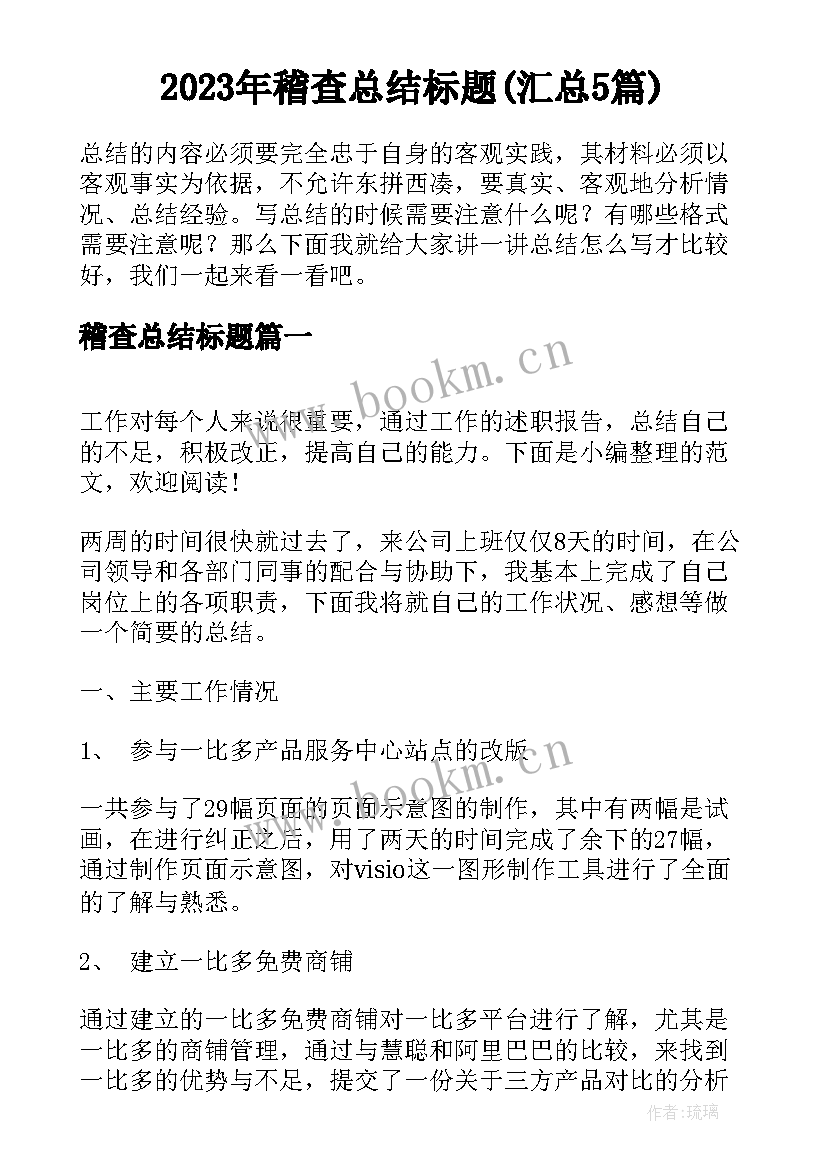 2023年稽查总结标题(汇总5篇)