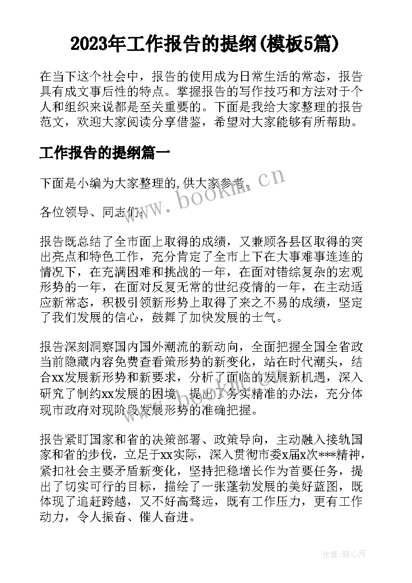 2023年工作报告的提纲(模板5篇)