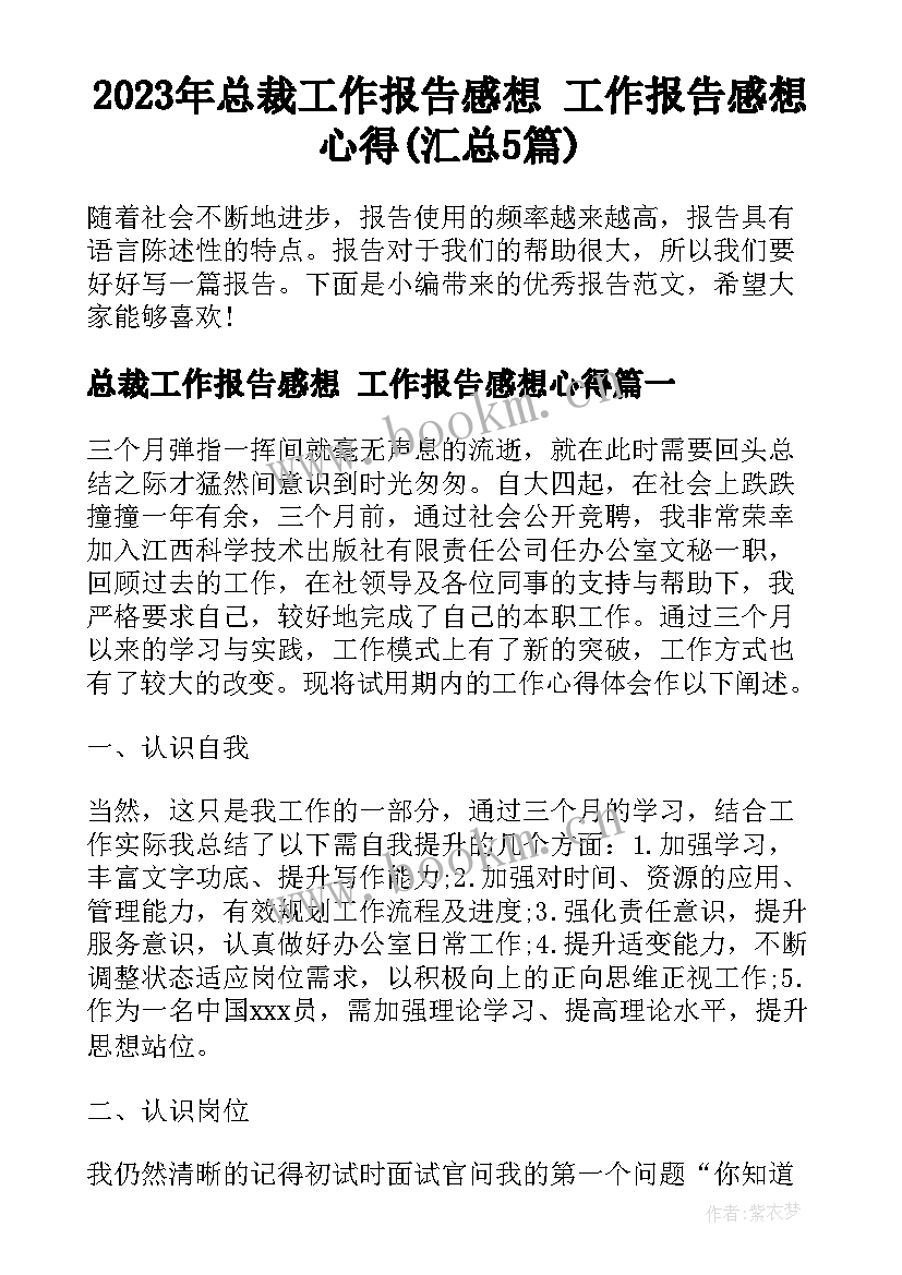 2023年总裁工作报告感想 工作报告感想心得(汇总5篇)