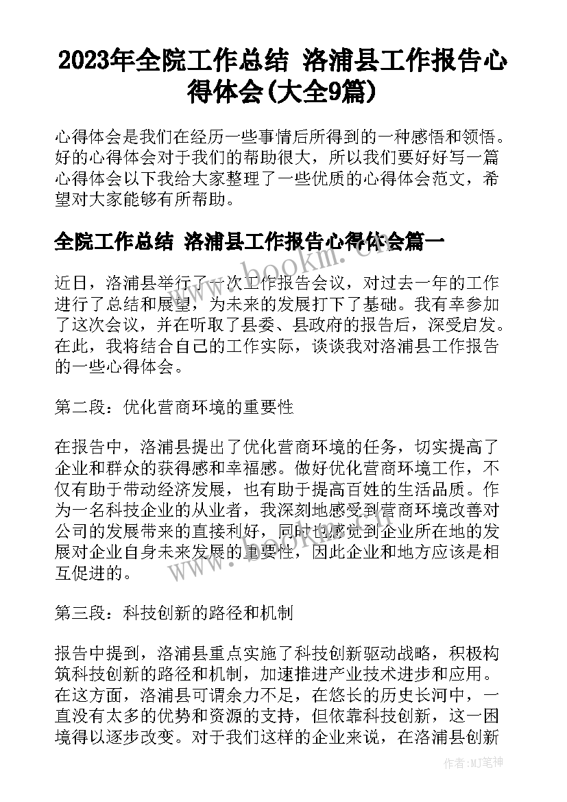 2023年全院工作总结 洛浦县工作报告心得体会(大全9篇)