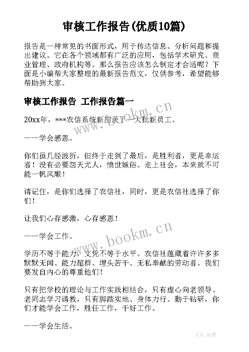 审核工作报告(优质10篇)