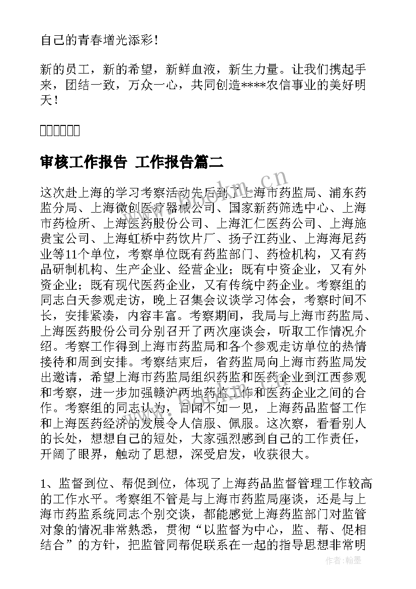 审核工作报告(优质10篇)