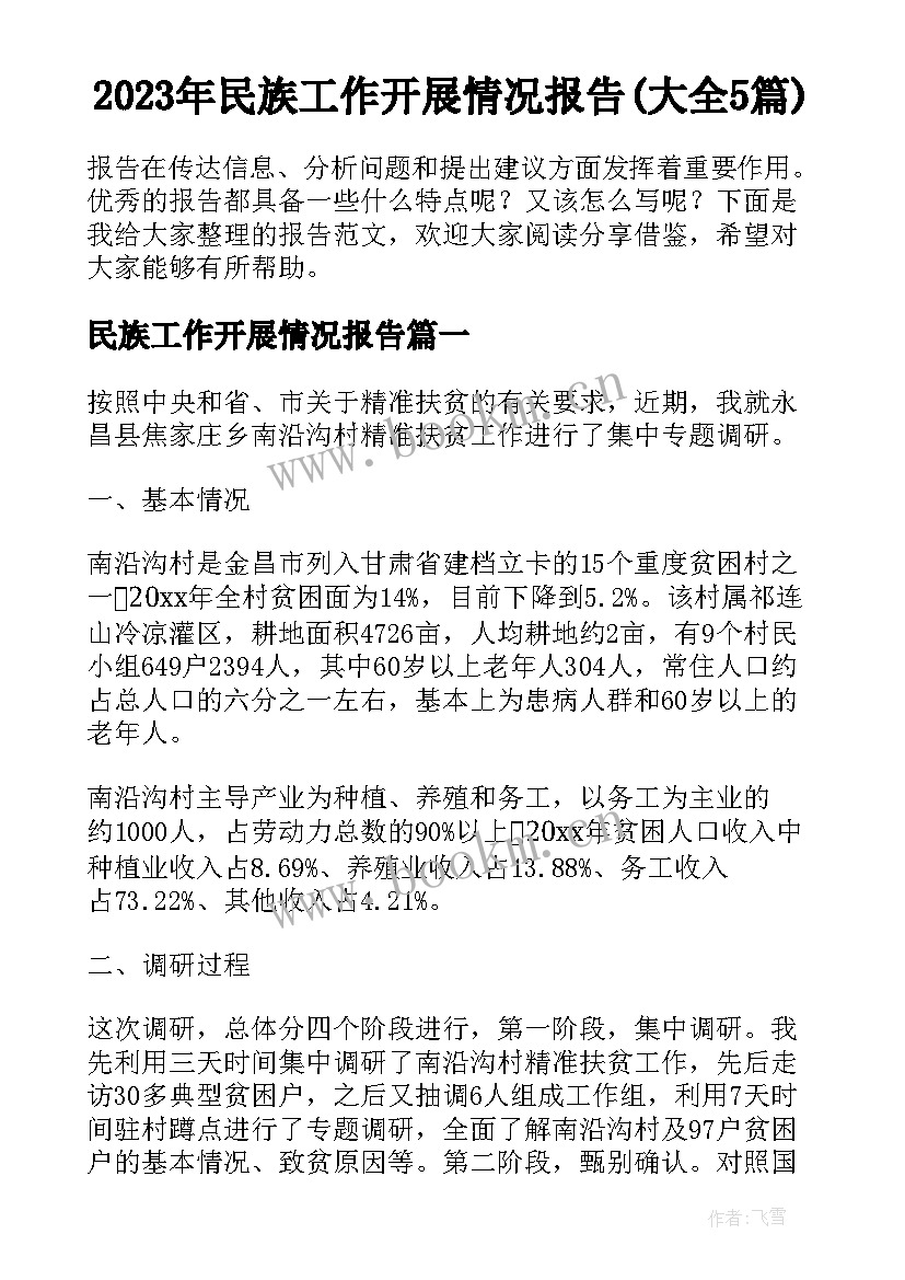 2023年民族工作开展情况报告(大全5篇)