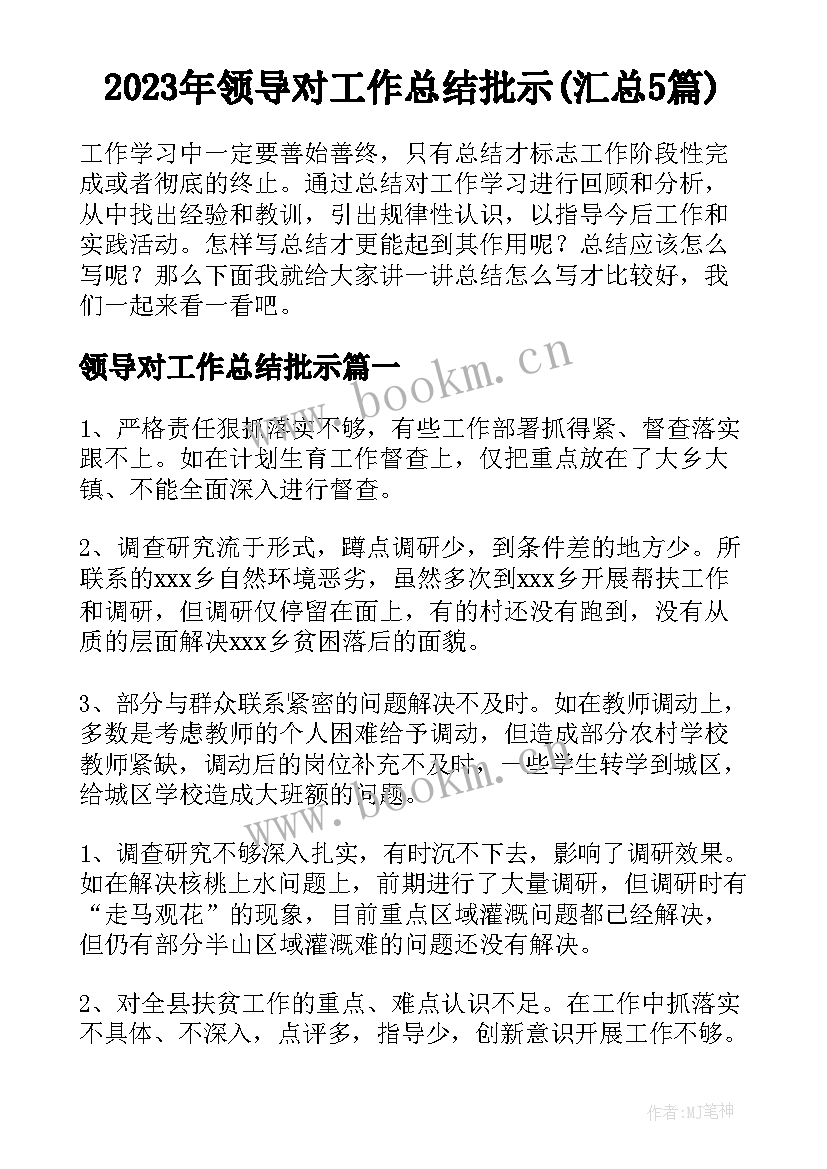 2023年领导对工作总结批示(汇总5篇)