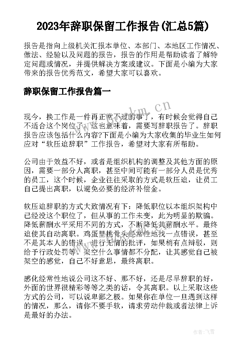 2023年辞职保留工作报告(汇总5篇)