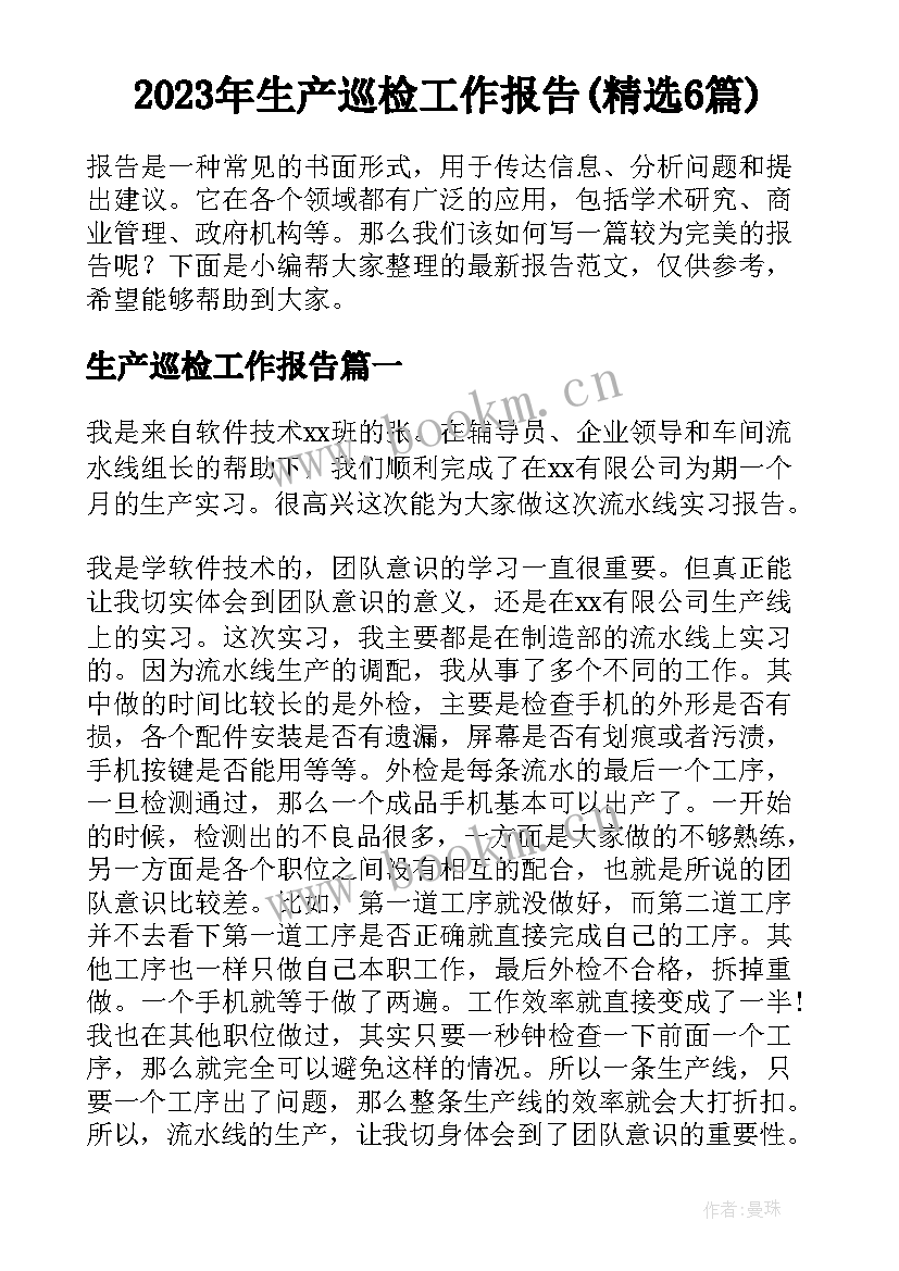 2023年生产巡检工作报告(精选6篇)