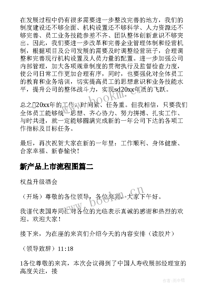 最新新产品上市流程图 上市旅游公司年会演讲稿(优质5篇)