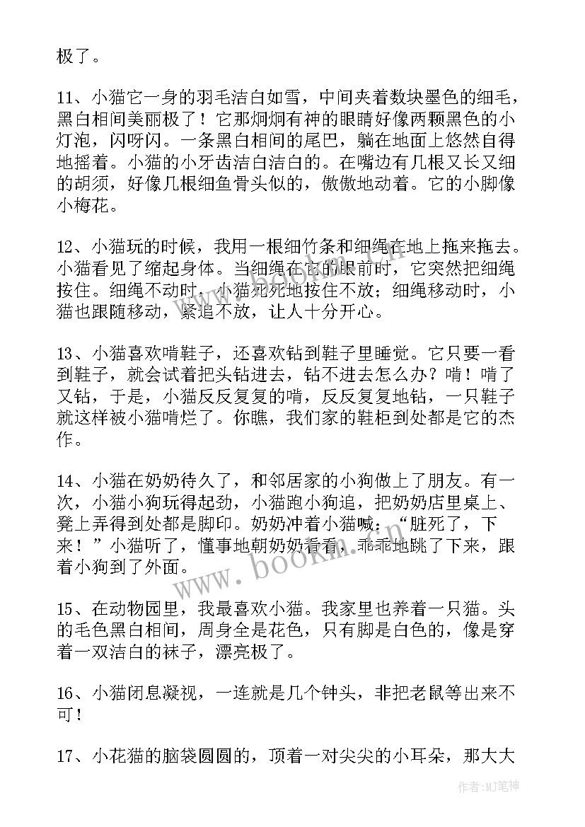 2023年演讲稿好段摘抄 好句好段摘抄(通用6篇)