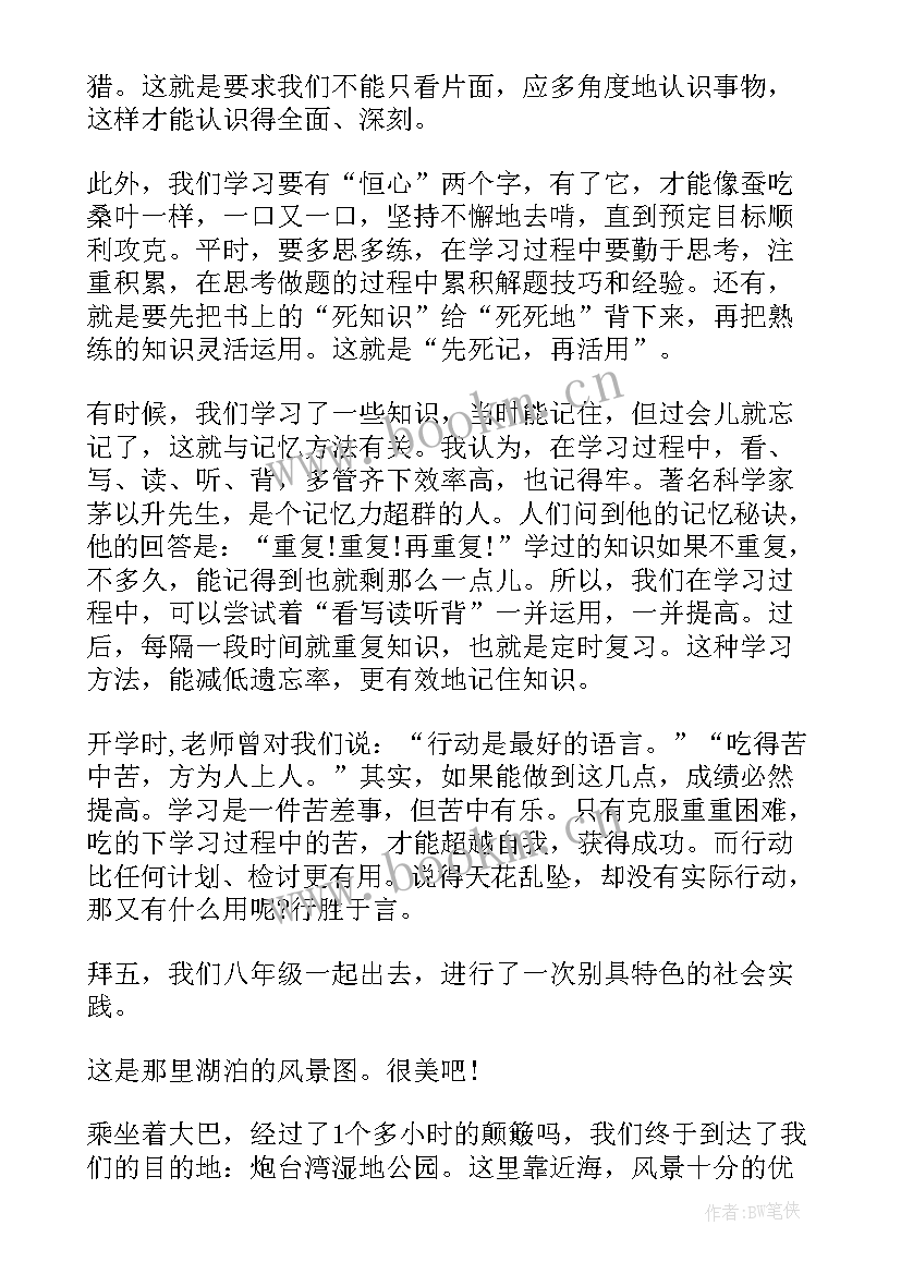 2023年实践收获和心得体会 心得体会心得体会(模板9篇)