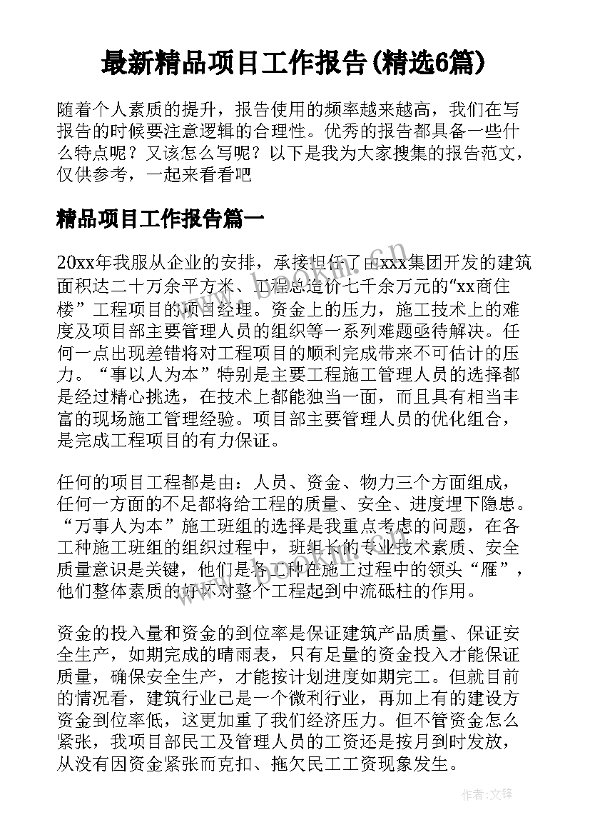 最新精品项目工作报告(精选6篇)