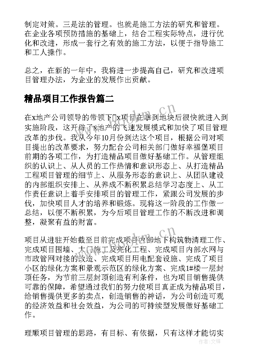 最新精品项目工作报告(精选6篇)