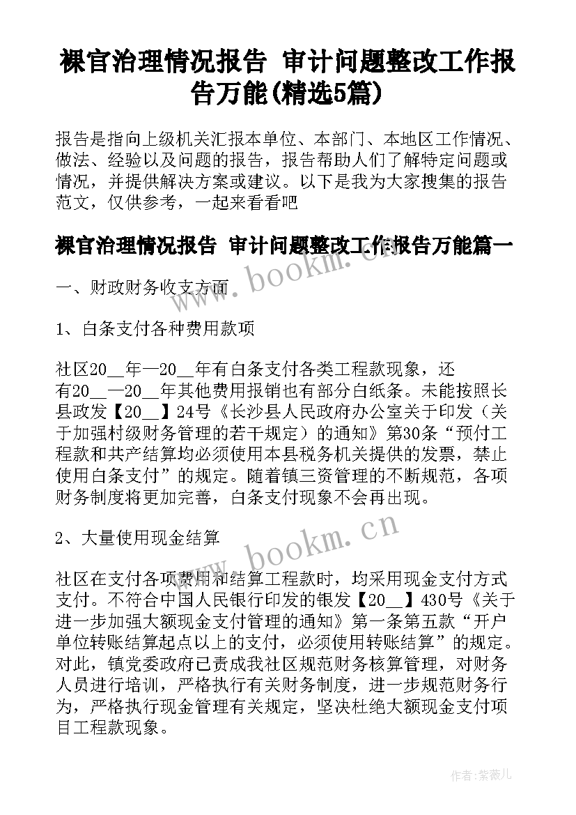 裸官治理情况报告 审计问题整改工作报告万能(精选5篇)