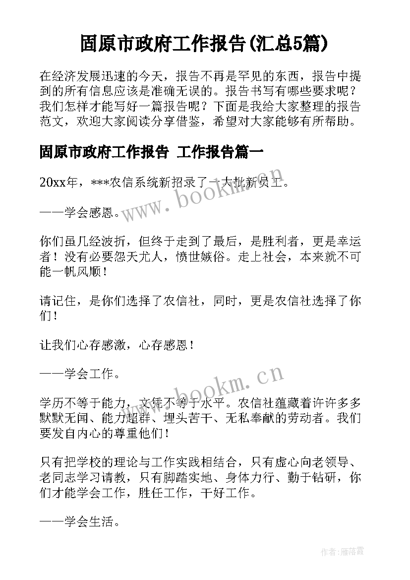 固原市政府工作报告(汇总5篇)