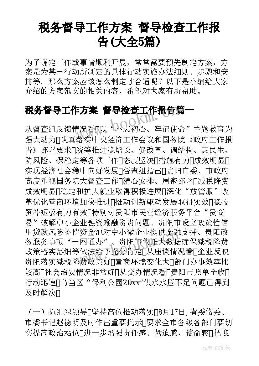 税务督导工作方案 督导检查工作报告(大全5篇)