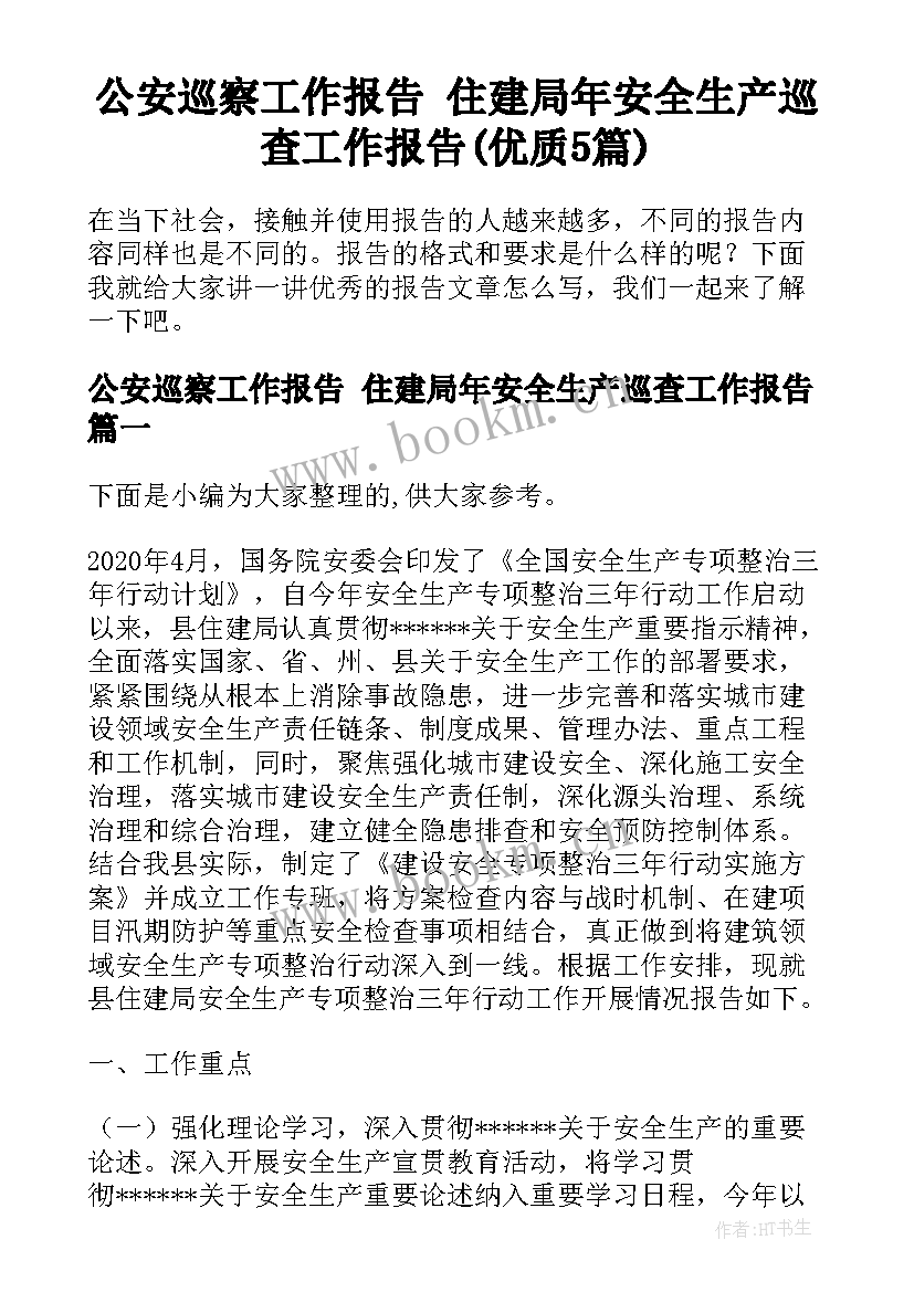 公安巡察工作报告 住建局年安全生产巡查工作报告(优质5篇)