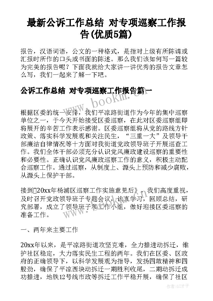 最新公诉工作总结 对专项巡察工作报告(优质5篇)