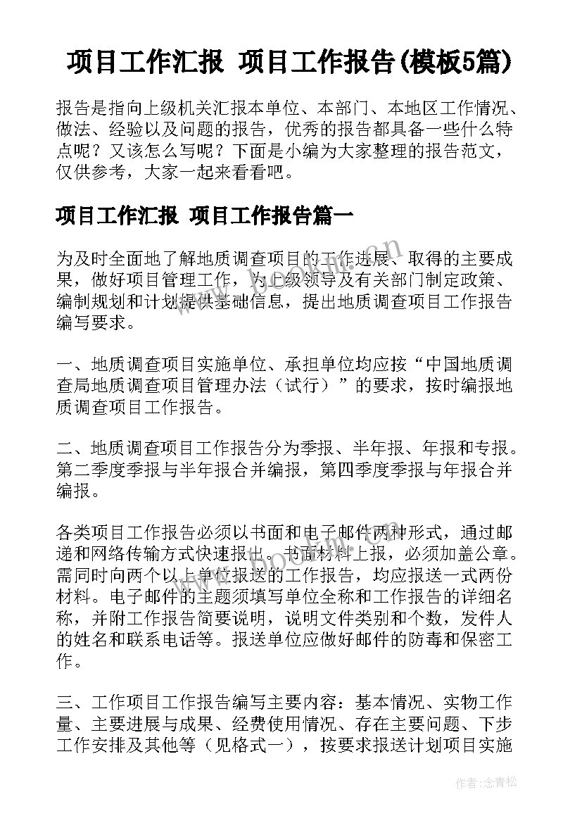 项目工作汇报 项目工作报告(模板5篇)