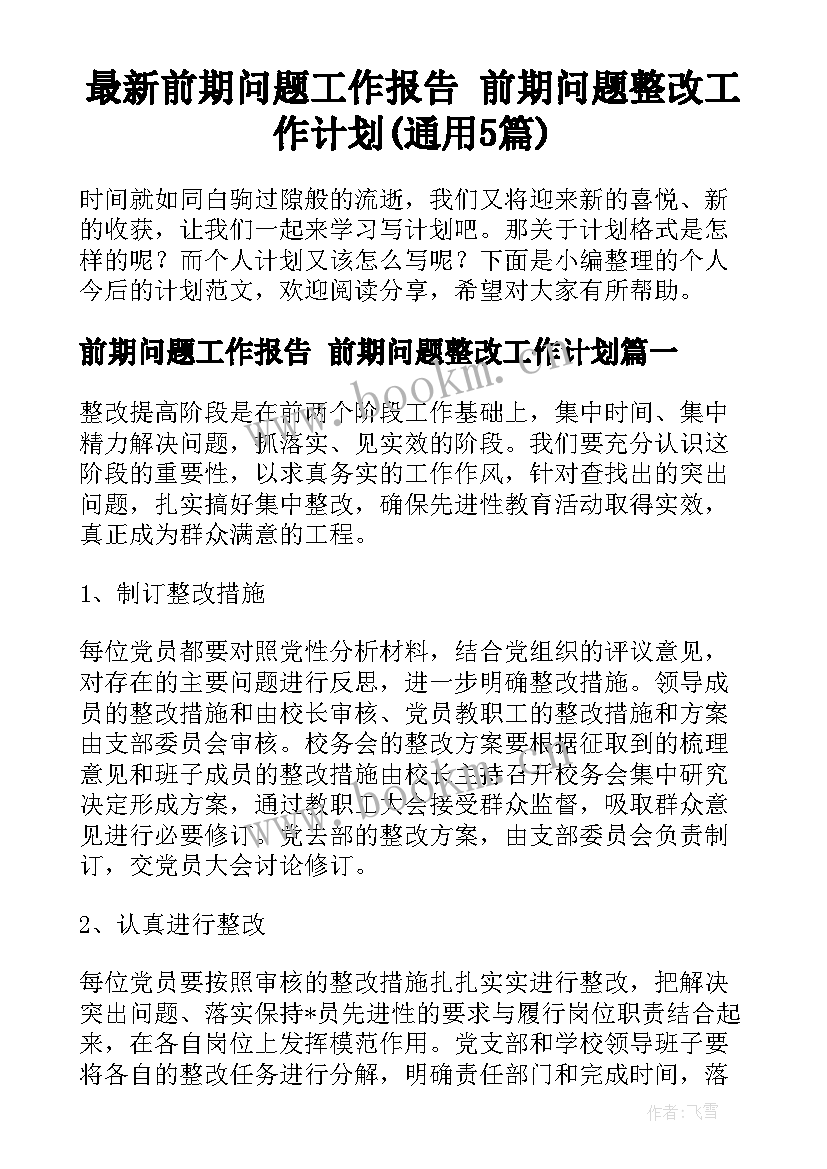 最新前期问题工作报告 前期问题整改工作计划(通用5篇)