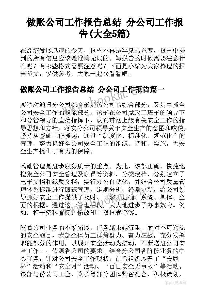 做账公司工作报告总结 分公司工作报告(大全5篇)