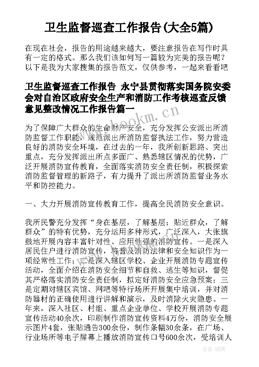 卫生监督巡查工作报告(大全5篇)