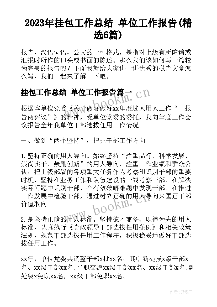 2023年挂包工作总结 单位工作报告(精选6篇)