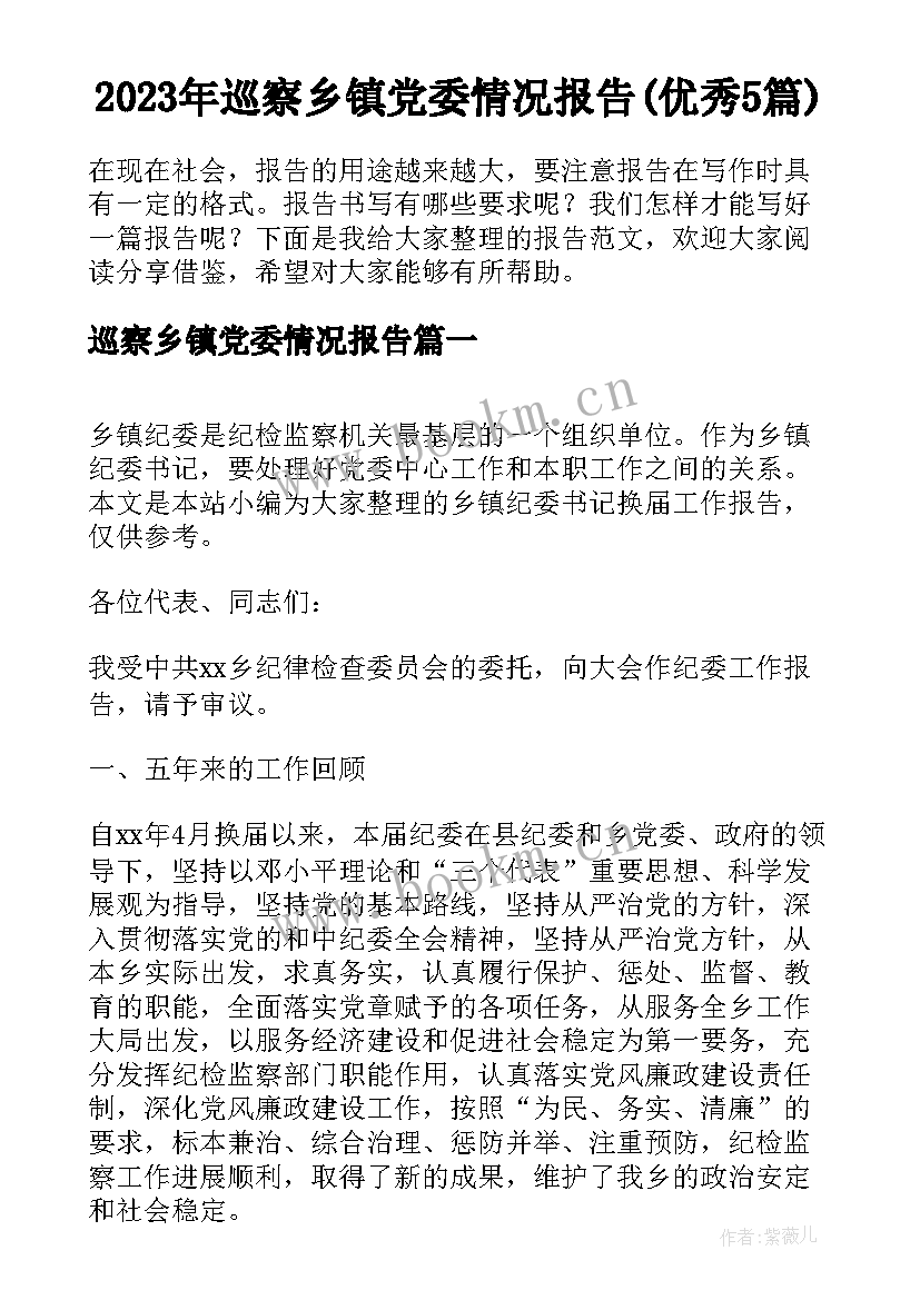 2023年巡察乡镇党委情况报告(优秀5篇)