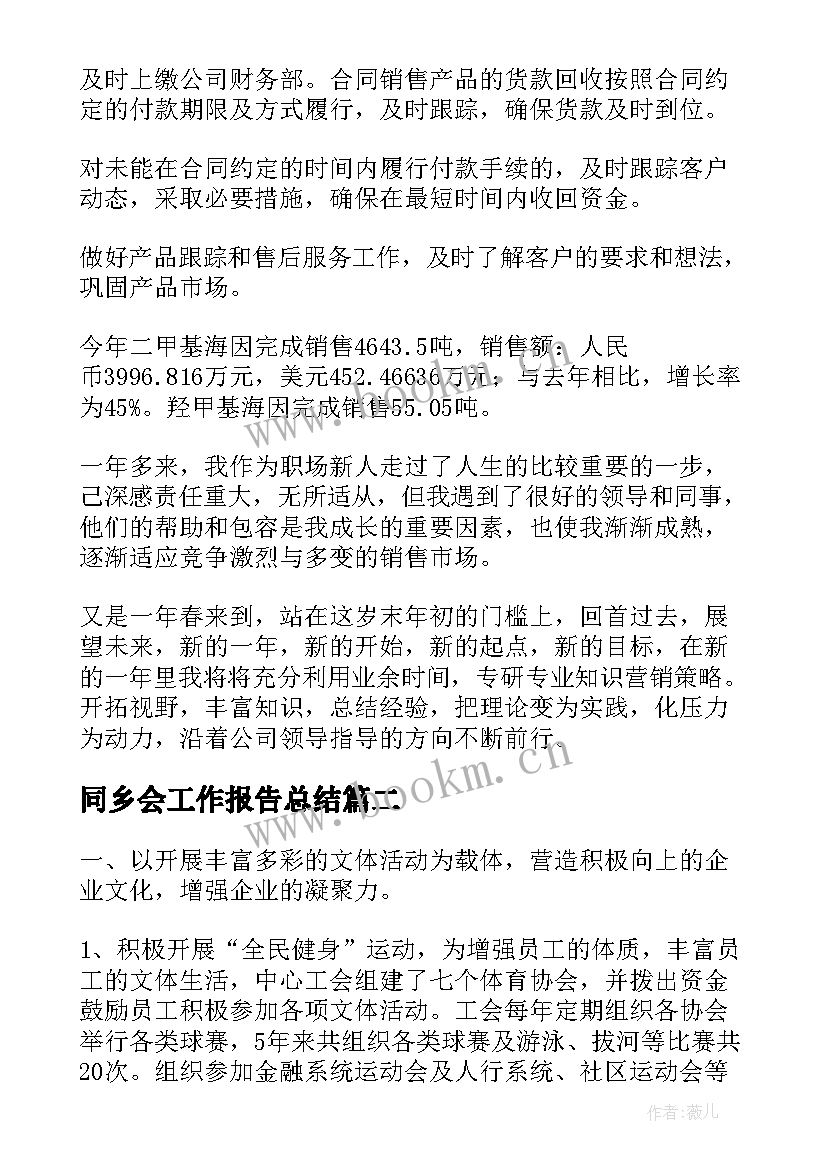 2023年同乡会工作报告总结(大全7篇)