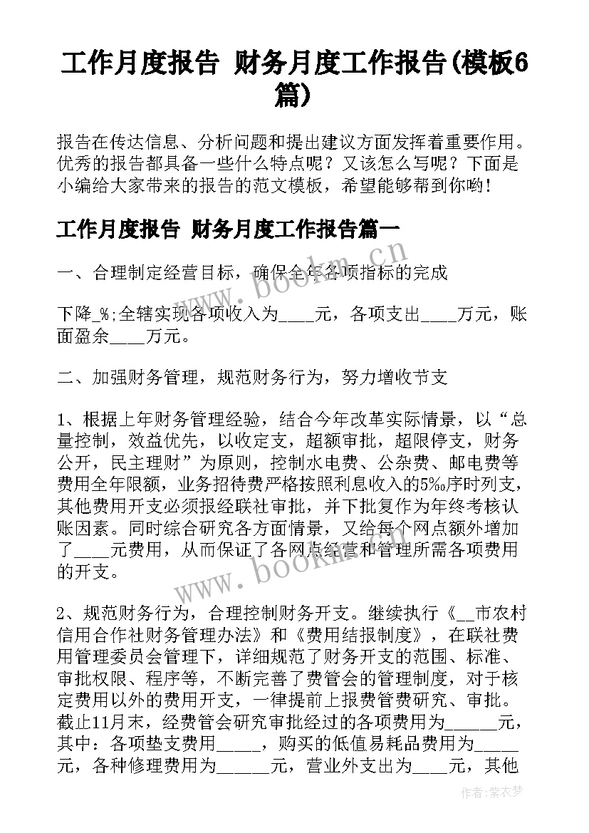 工作月度报告 财务月度工作报告(模板6篇)