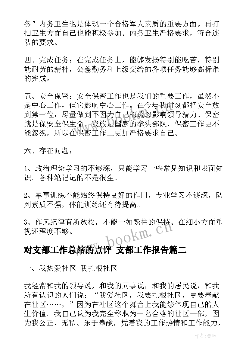 最新对支部工作总结的点评 支部工作报告(精选7篇)