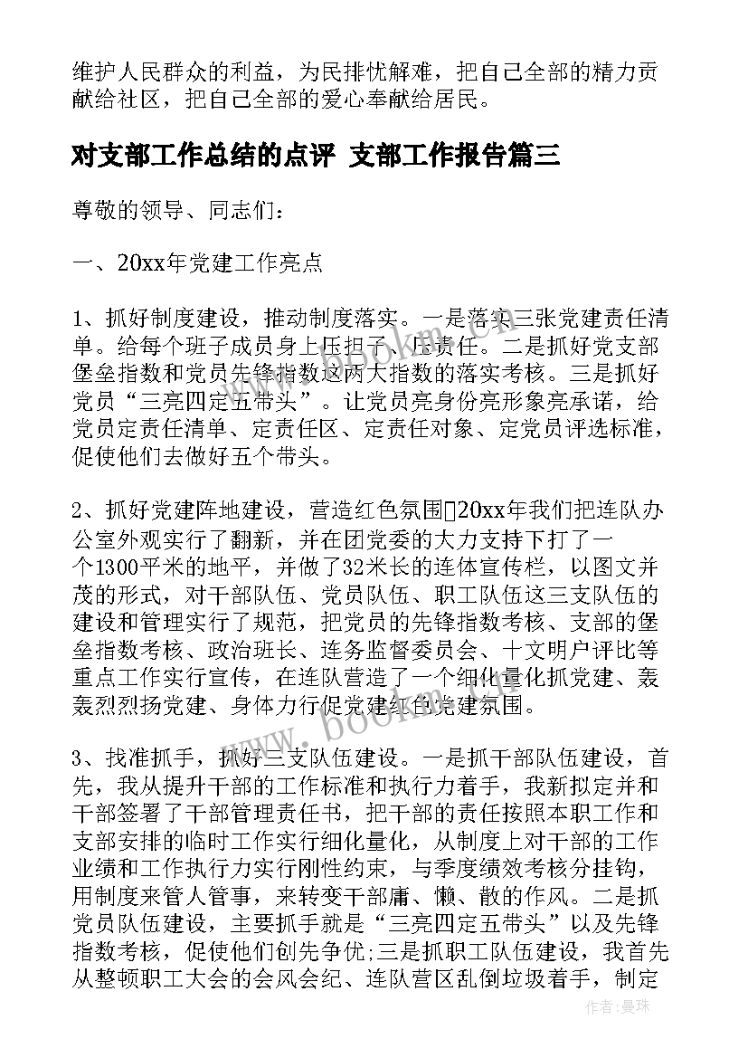 最新对支部工作总结的点评 支部工作报告(精选7篇)