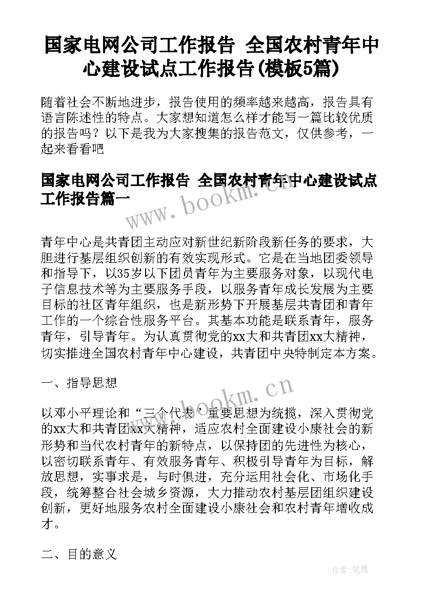 国家电网公司工作报告 全国农村青年中心建设试点工作报告(模板5篇)