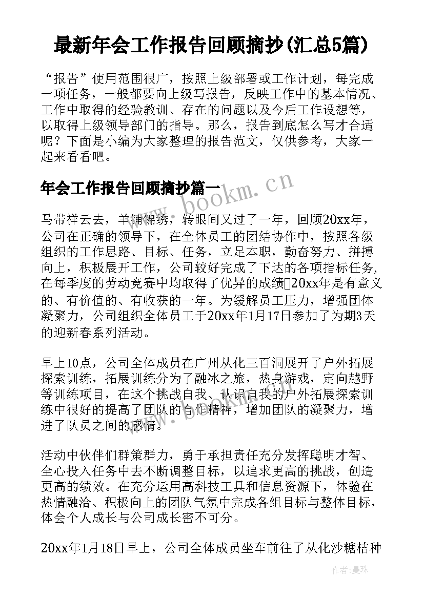 最新年会工作报告回顾摘抄(汇总5篇)