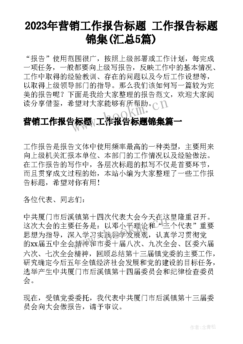 2023年营销工作报告标题 工作报告标题锦集(汇总5篇)