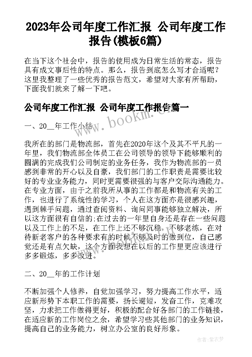 2023年公司年度工作汇报 公司年度工作报告(模板6篇)