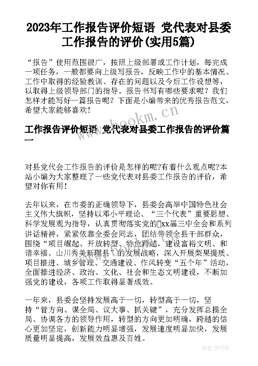 2023年工作报告评价短语 党代表对县委工作报告的评价(实用5篇)