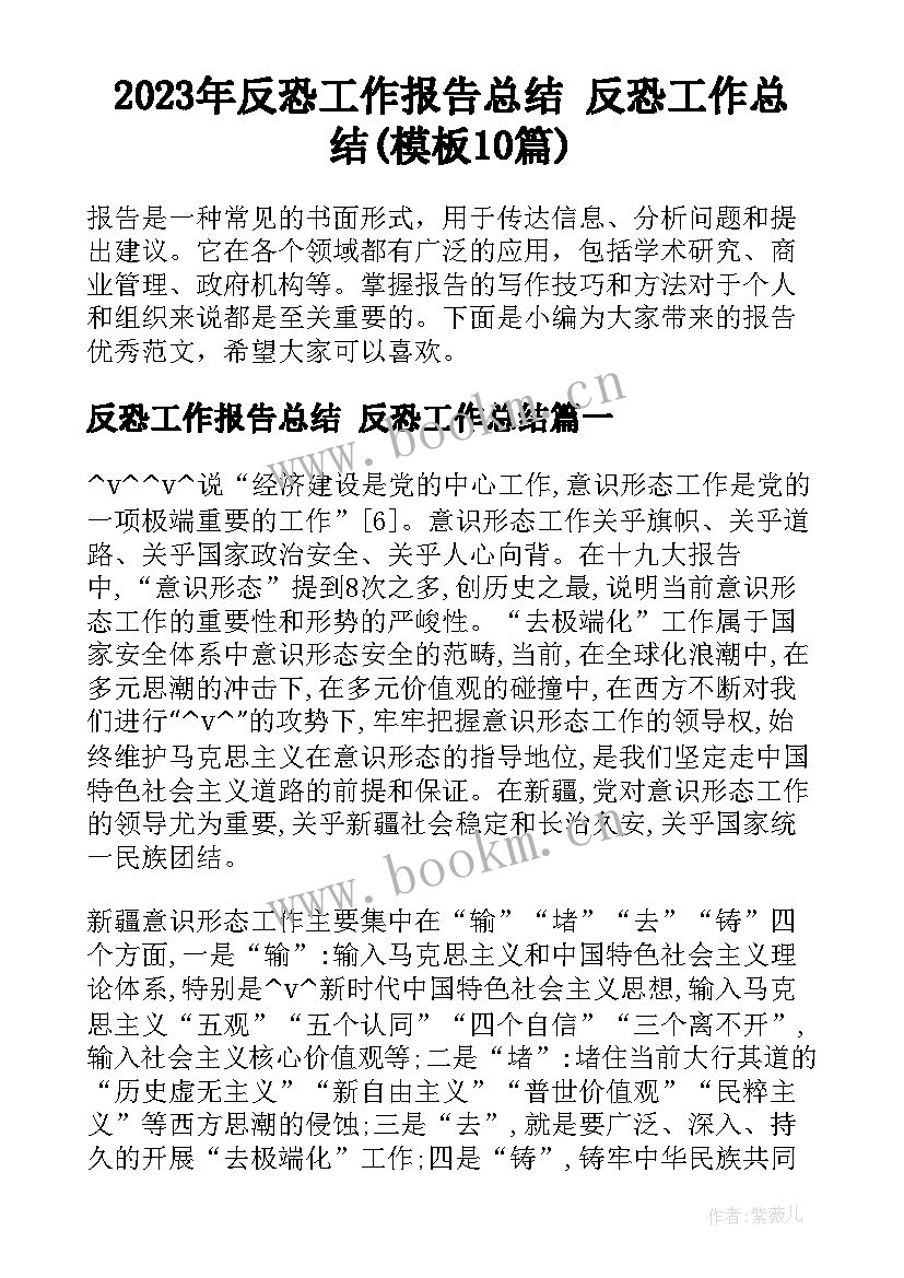 2023年反恐工作报告总结 反恐工作总结(模板10篇)