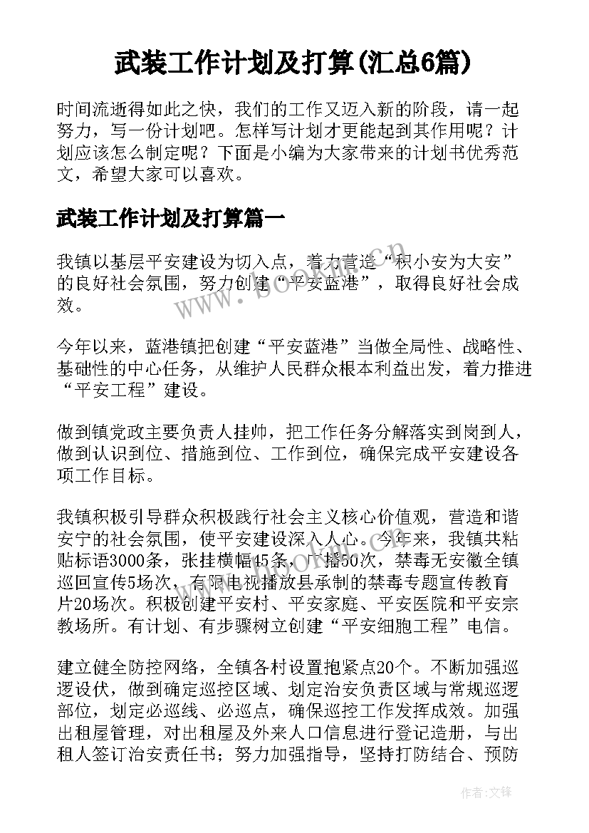 武装工作计划及打算(汇总6篇)