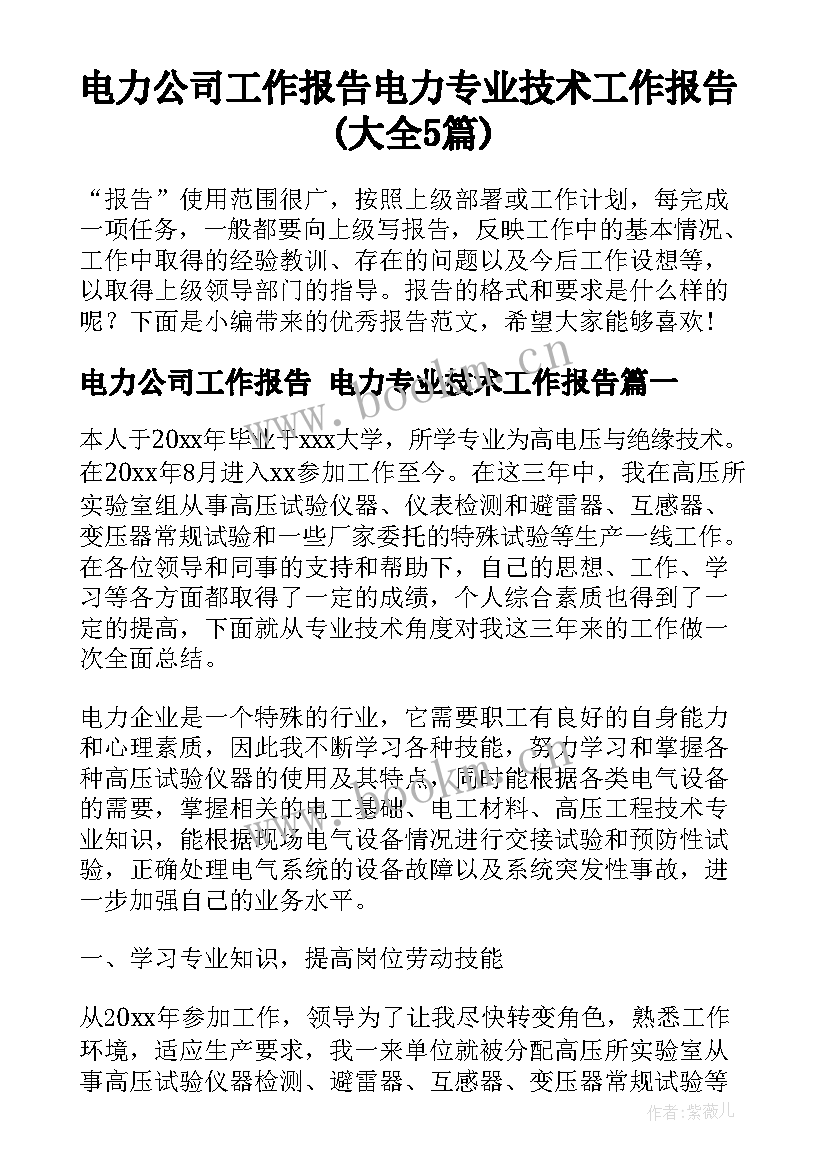 电力公司工作报告 电力专业技术工作报告(大全5篇)