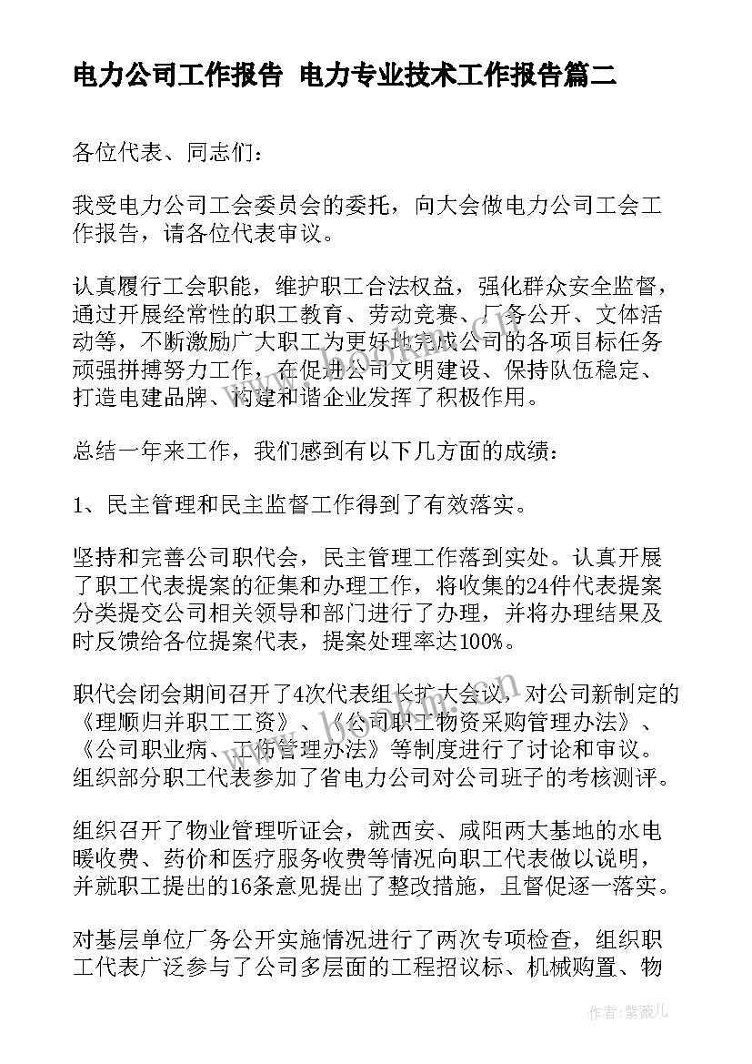 电力公司工作报告 电力专业技术工作报告(大全5篇)