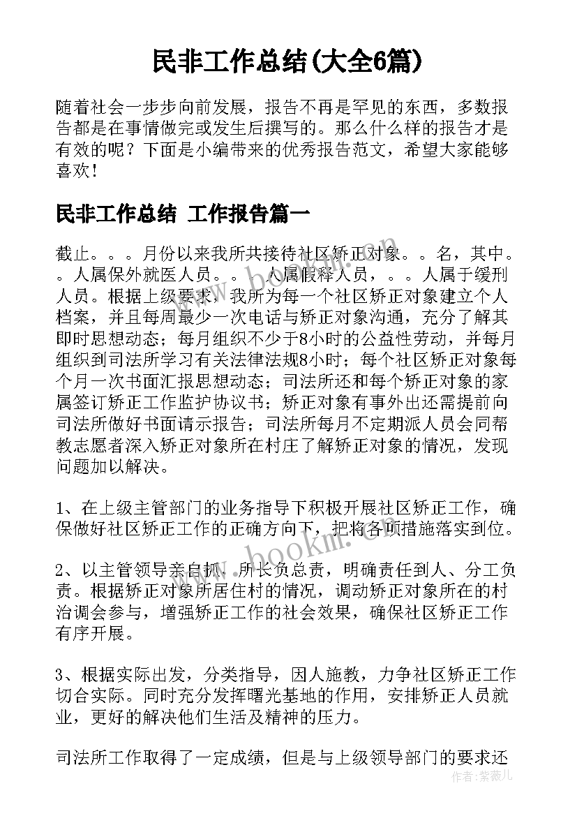 民非工作总结(大全6篇)